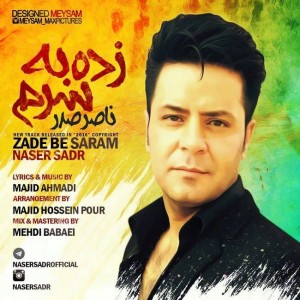 متن آهنگ زده به سرم ناصر صدر