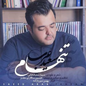 متن آهنگ تنهام سعید عرب