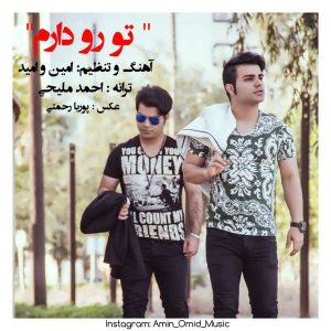 متن آهنگ تو رو دارم امین و امید