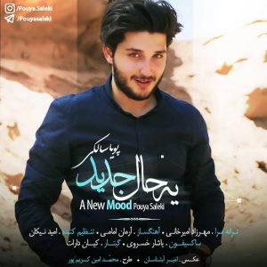 متن آهنگ یه حال جدید پویا سالکی
