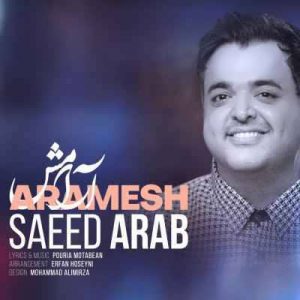 متن آهنگ آرامش سعید عرب