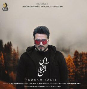 متن آهنگ ای آشنای من پدرام پالیز
