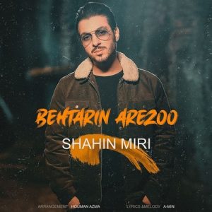 متن آهنگ بهترین آرزو شاهین میری