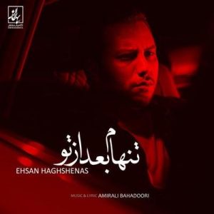 متن آهنگ تنهام بعد از تو احسان حق شناس