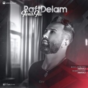 متن آهنگ رفت دلم امیرعلی