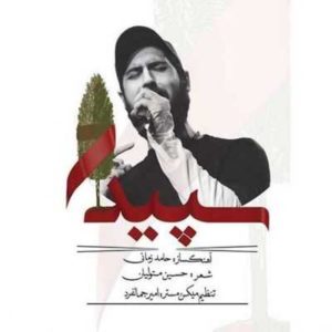 متن آهنگ سپیدار حامد زمانی