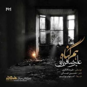 متن آهنگ هم گناه علیرضا قربانی