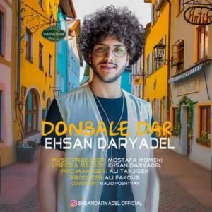 متن آهنگ دنباله دار احسان دریادل
