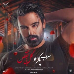 متن آهنگ گل بی نقص سهراب پاکزاد