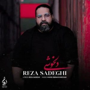 متن آهنگ دلخوشی رضا صادقی