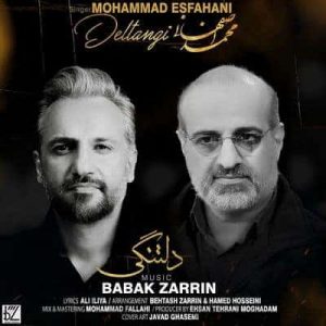 کاور آهنگ دلتنگی محمد اصفهانی