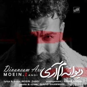 کاور آهنگ دیوانه ام آری معین زد